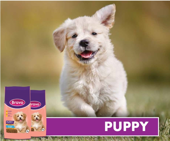 bravo puppy - dog kibbles - Pet/dog food in kenya